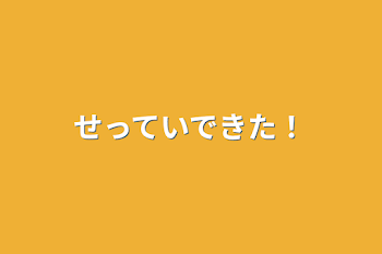 設定できた！