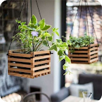 Cover Image of Download Hanging Flowers Pot Ideas 1.0 APK