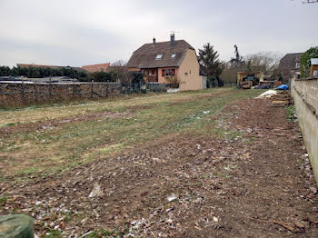 terrain à Sainte-Croix-en-Plaine (68)