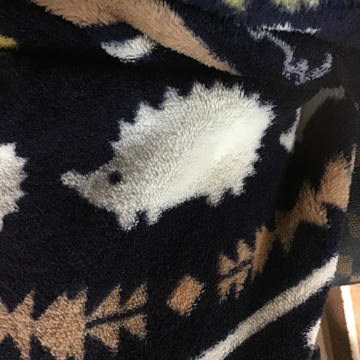 はりはりねずみ