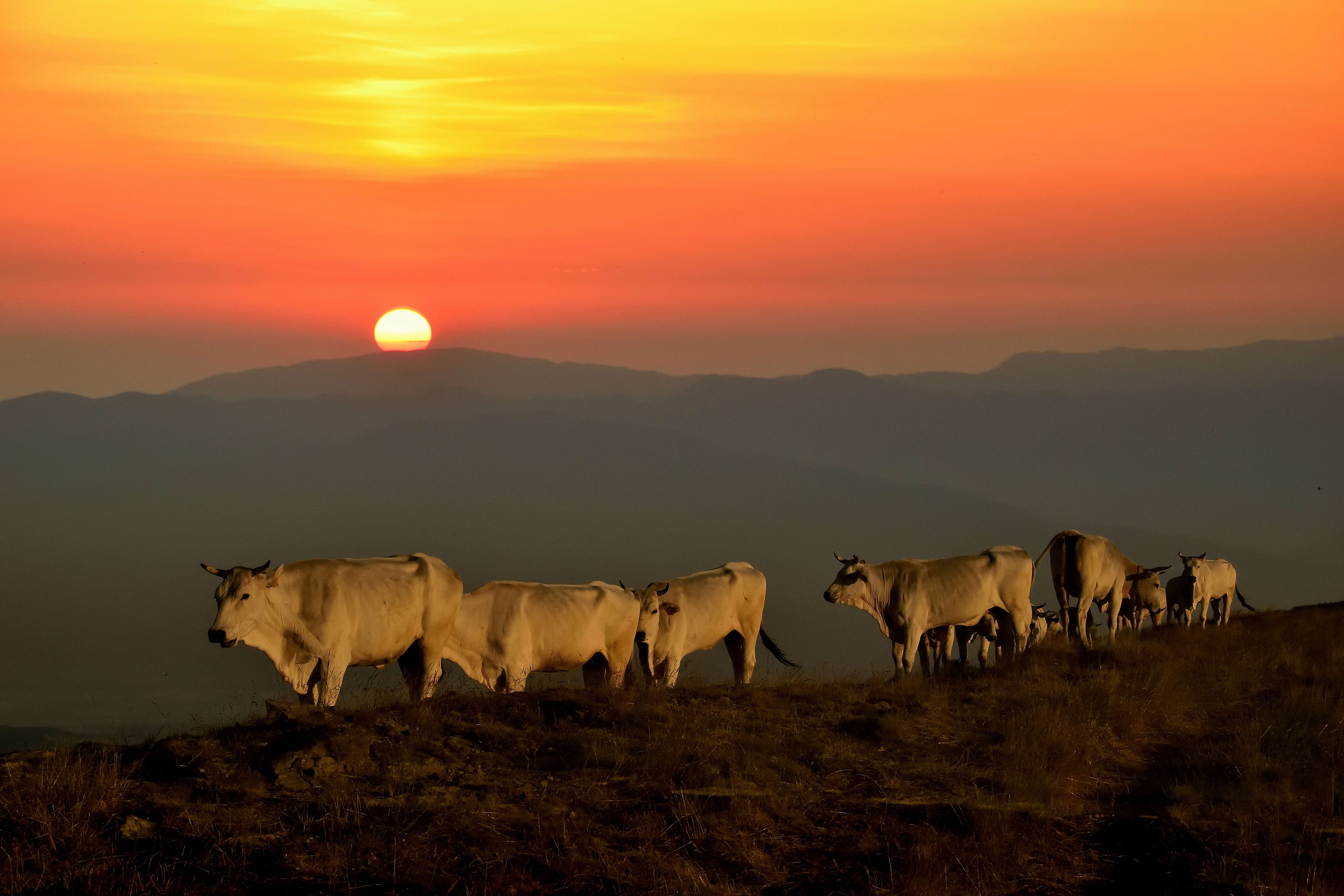 ..magico Pratomagno di effeenne