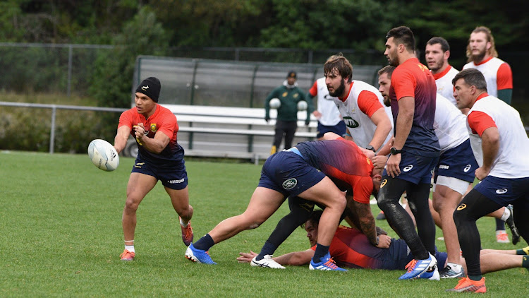 Herschel Jantjies and his Springboks teammates during a training session in Wellington.