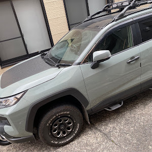 RAV4 MXAA54