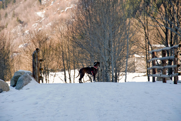 una strada innevata tutta per me di Solda91