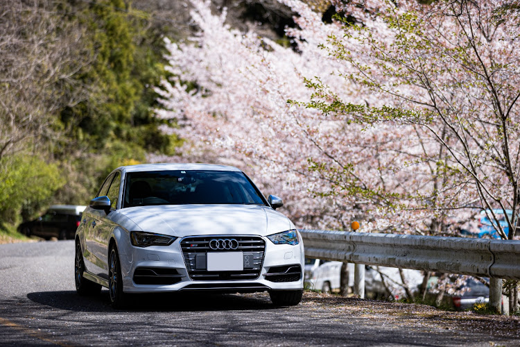 S3 セダンの桜・S3セダン・赤城南面千本桜・菜の花に関するカスタム事例の投稿画像1枚目