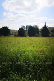 terrain à Montignac (24)