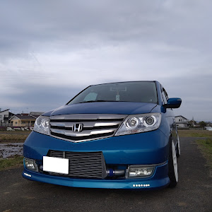 エリシオンプレステージ RR5