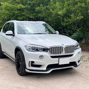 X5 F15