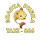 TAXI-866 Download on Windows