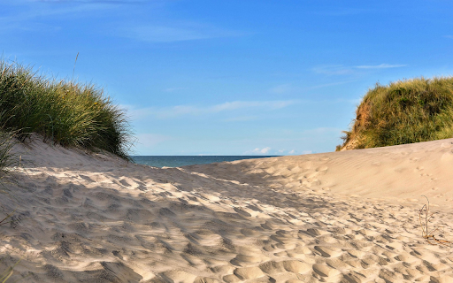 Coastal Dunes screenshot 1
