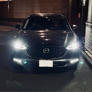 CX-30 DMEP