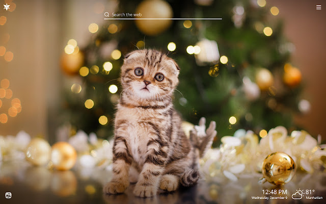 Christmas Cats HD Wallpapers New Tab Theme