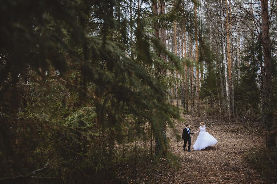 Wedding photographer Sergey Bolotov (sergeybolotov). Photo of 5 June 2017