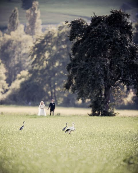 Wedding photographer Vanessa Winter (projectphoto). Photo of 30 March 2016