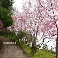 數碼天空景觀餐廳