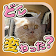 にゃんこの写真どこ変わった？ 〜猫の間違い探しアハ体験〜 icon