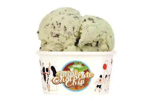 Mint Chocolate Chip Tub (600 Ml)