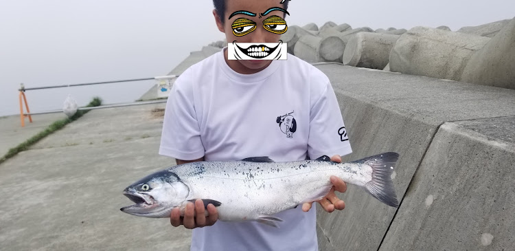 TERUさんが投稿した海釣り・SUP・サクラマス・60センチに関するカスタム事例の投稿画像3枚目