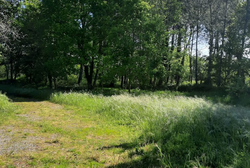  Vente Terrain à bâtir - 1 560m² à Audignon (40500) 