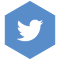 Item logo image for remove-twitter-trends