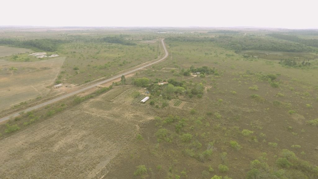 Fazenda à venda, 176 ha - Região Taiano - Alto Alegre/RR