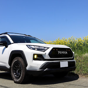 RAV4 AXAH54