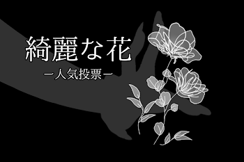 「綺麗な花 ー人気投票ー」のメインビジュアル