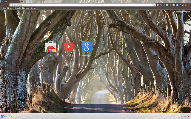 The Dark Hedges chrome extension