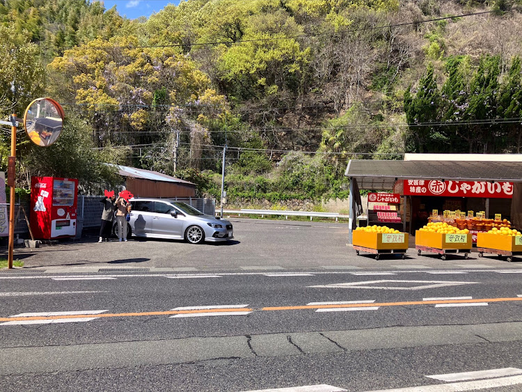 レヴォーグの家族でドライブ・ソフトクリーム・花見ドライブ・レヴォーグ・海に関するカスタム事例の投稿画像4枚目