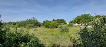 terrain à Leucate (11)