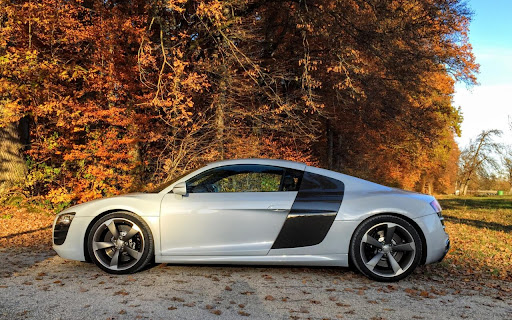 Silver Sports Car Gliding Through Autumn screenshot 2