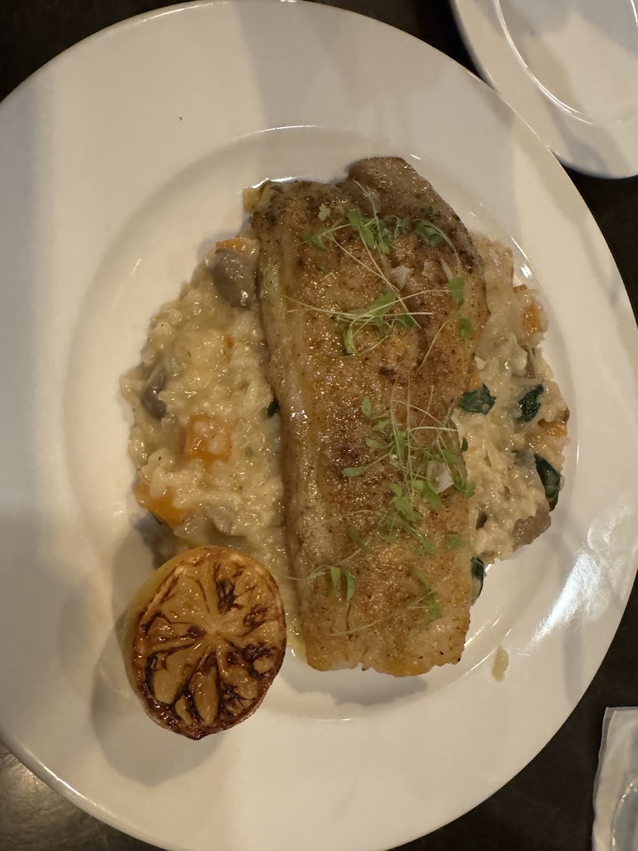 Grilled Gulf Fish (and risotto)