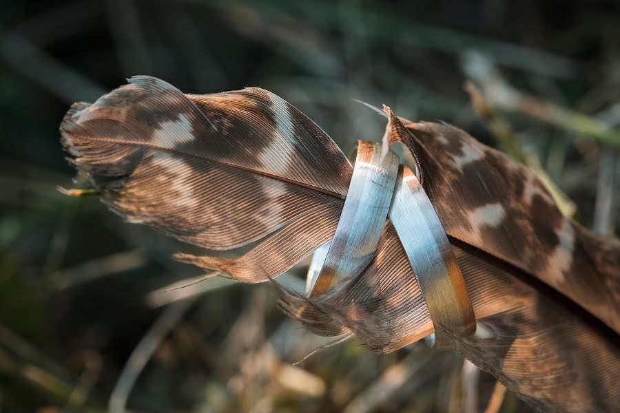 Jurufoto perkahwinan Tomáš Princ (princ). Foto pada 26 Januari 2019