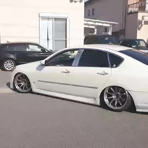 フーガ Y50型