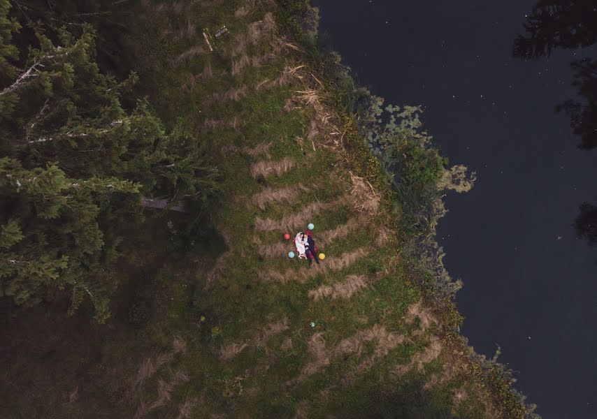 Fotografo di matrimoni Vilnis Izotovs (vilnisphoto). Foto del 2 novembre 2018