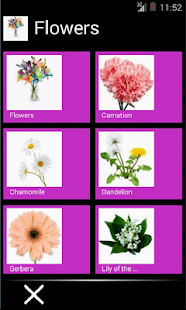 Word In Picture:Deutsch Lite(圖4)-速報App