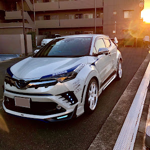 C-HR ZYX10