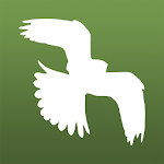 Little Bird Guide Europe Apk