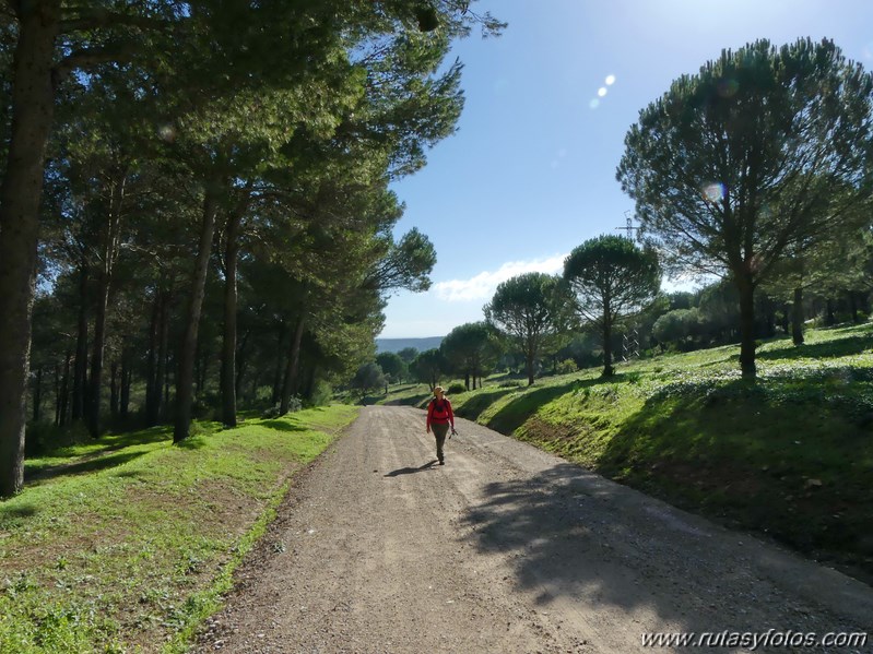 Sendero Las Quebradas (Vejer de la Frontera)