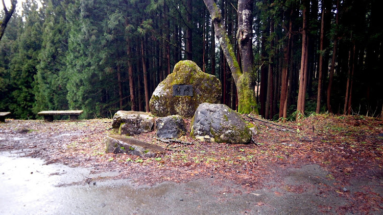 セレナのセレナC25・過去写真・弄り振り返り・峠・グリル加工に関するカスタム事例の投稿画像9枚目