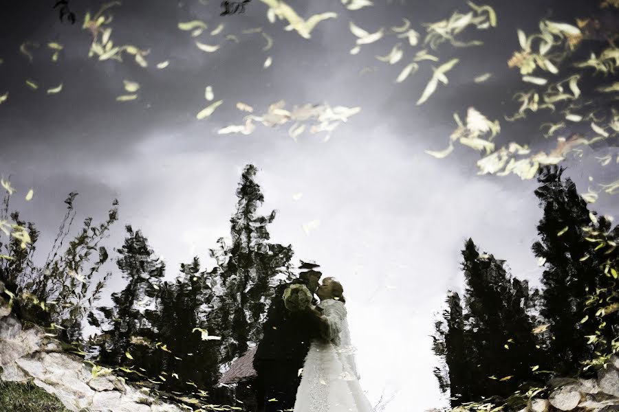 Fotógrafo de casamento Aleksandr Lesnichiy (lisnichiy). Foto de 25 de novembro 2017