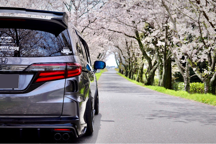 オデッセイの桜・桜と愛車・桜とコラボ・RC.Style・RC camber unionに関するカスタム事例の投稿画像3枚目