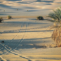 Verso le dune di 