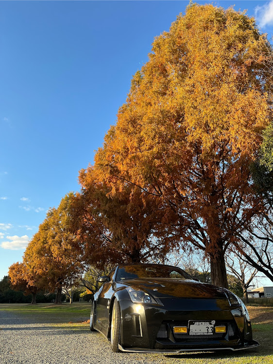 フェアレディZのいいね＆フォロー＆コメントありがとうございます・紅葉と愛車・今からメンテナンス大変だ・壊れるのは仕方ない😱・どんだけ影響あるのかね😑に関するカスタム事例の投稿画像3枚目