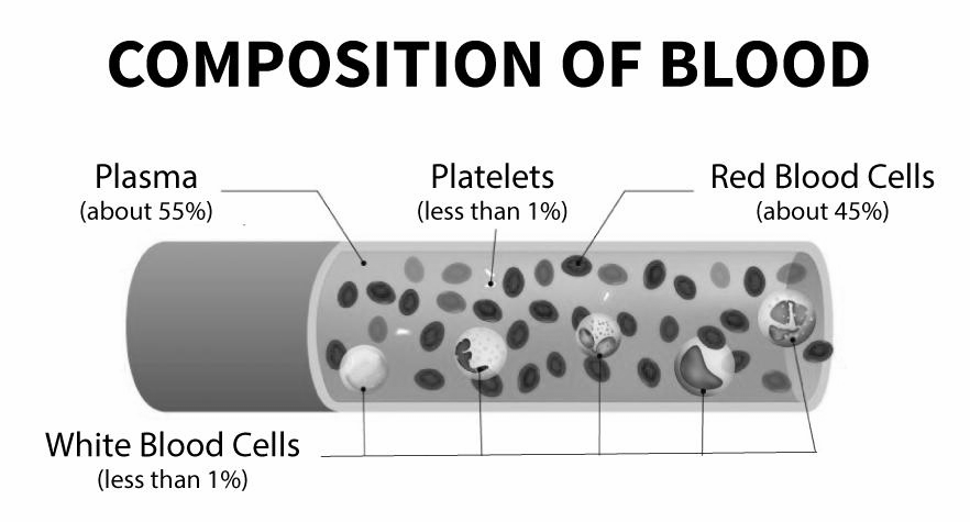 Plasma — Stanford Blood Center