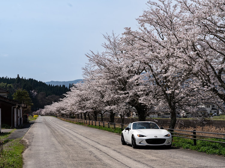 ロードスターRFの2024ベストショット4月に関するカスタム事例の投稿画像2枚目