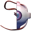 VR Human Eye icon