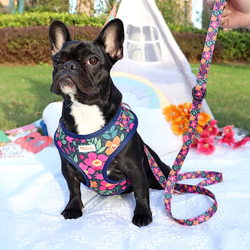 Adjustable Nylon Mesh French Bulldog Harness Leash Set Cute Printed Puppy Cat Harness Vest Leash For Small Medium Dogs P
