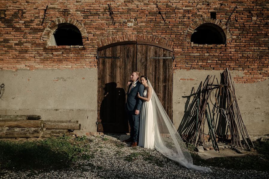 Wedding photographer Sergey Chmara (sergyphoto). Photo of 16 September 2019