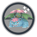 Imagem de Mega Venusaur – Brilhante ativado